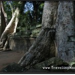 Photo: Trees Growing Over North Exterior Wall of Ta Prohm