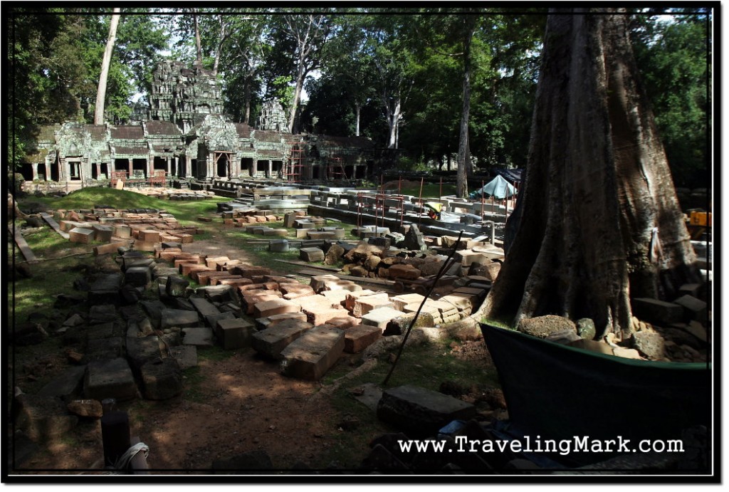 Photo: This Area of Ta Prohm was Off Limits for Restoration