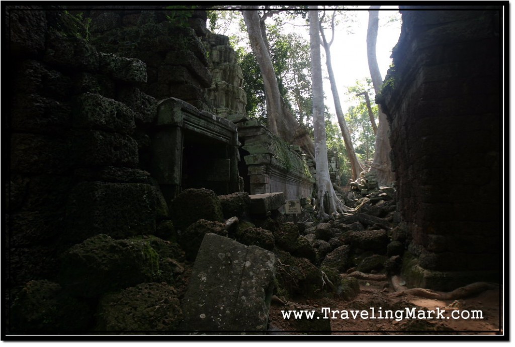 Photo: Jungle Reduced Parts of Ta Prohm Into a Pile of Rocks