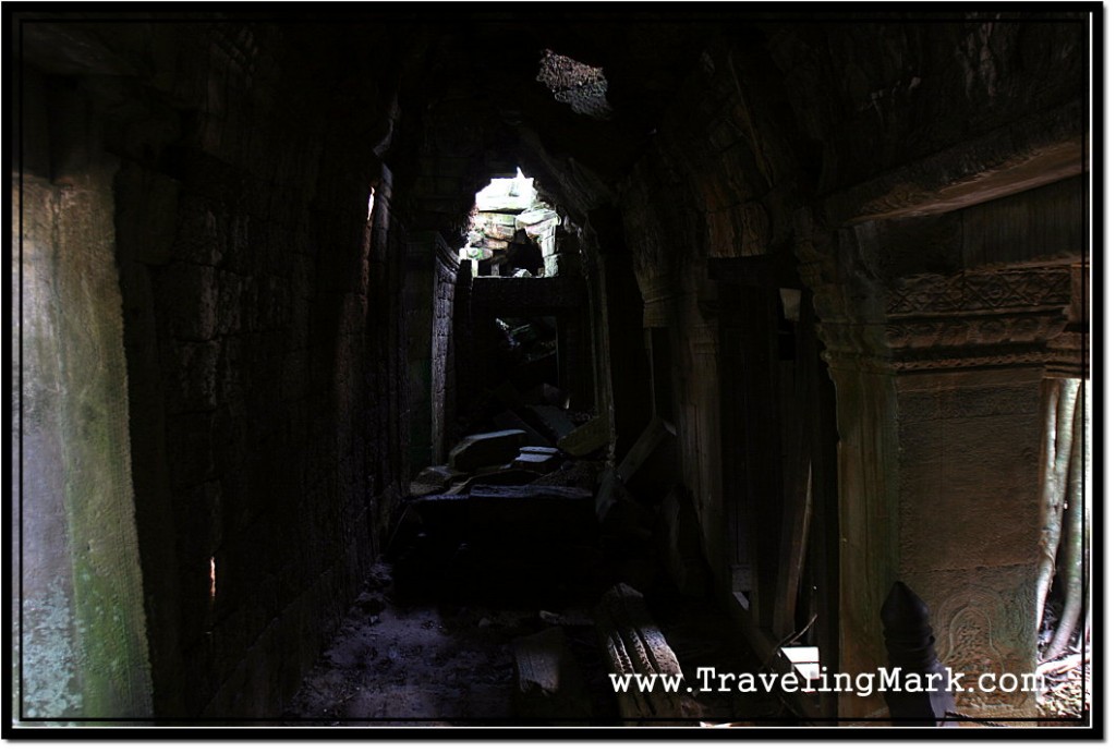 Photo: Preserved Wall of Ta Prohm Temple