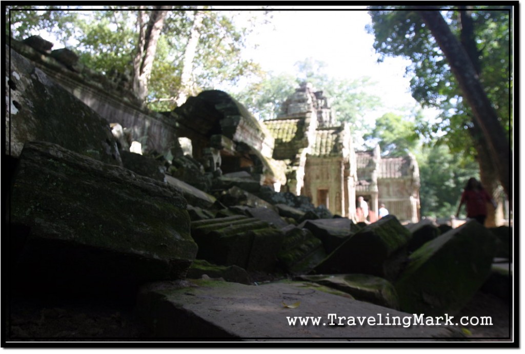 Photo: Ruins of Ta Prohm Angkor Temple