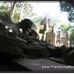 Photo: Ruins of Ta Prohm Angkor Temple