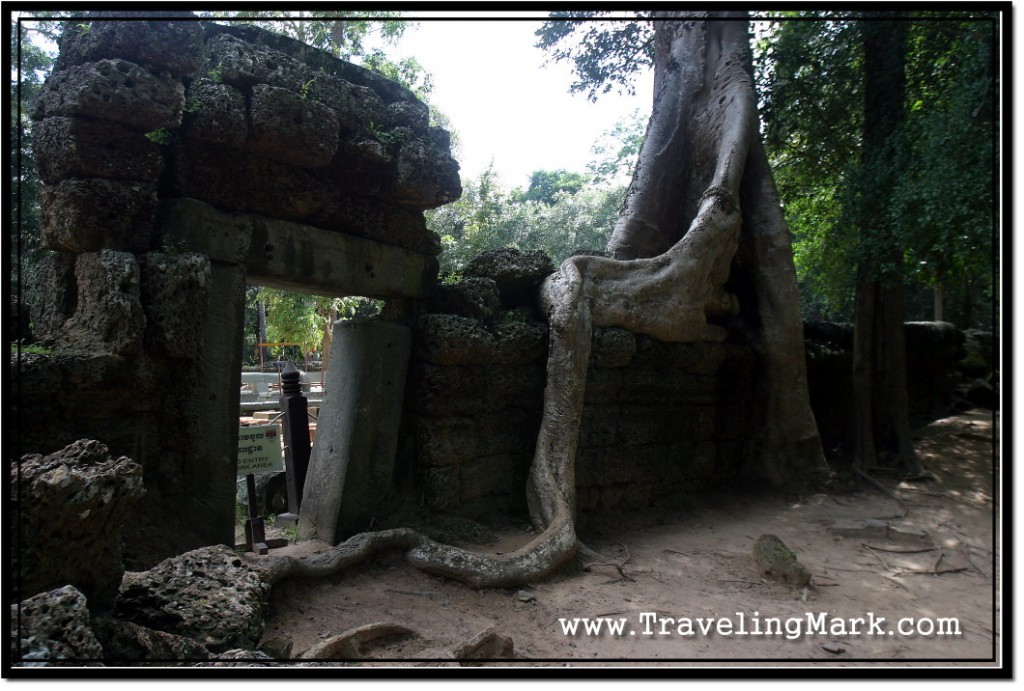 Photo: Ta Prohm Small Gateway Guarded by the Tree Roots