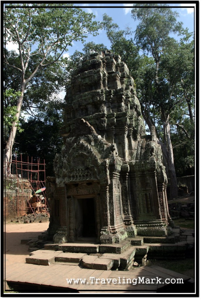 Photo: Ta Prohm Small Stand-Alone Gallery