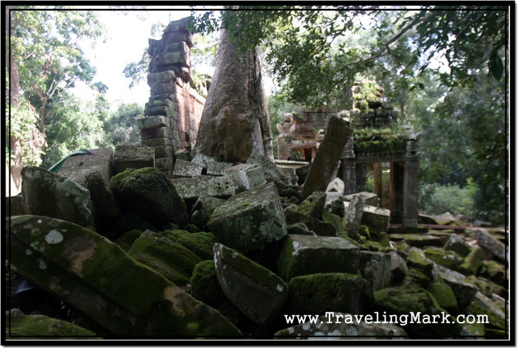 Photo: Ta Prohm Stone Ruins Covering the Ground