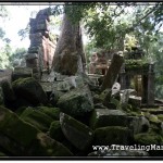 Photo: Ta Prohm Stone Ruins Covering the Ground