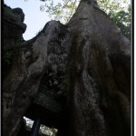 Photo: Walls of Ta Prohm Supported to Prevent Further Collapse