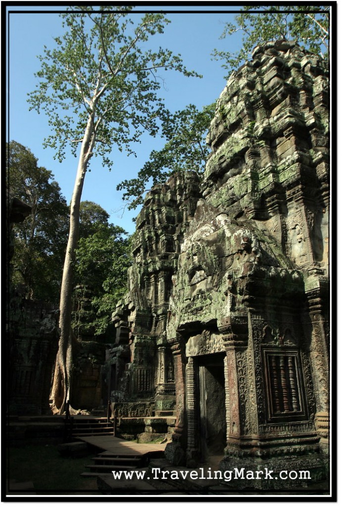 Photo: Ta Prohm Temle Proper, Angkor, Cambodia