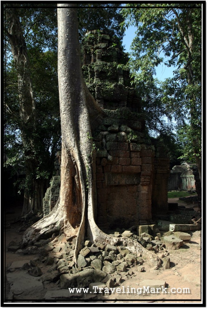 Photo: Ta Prohm Library Damaged Under the Weight of a Tree