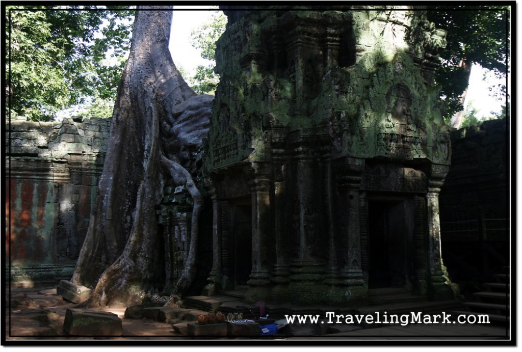 Photo: Ta Prohm, Angkor Temple in Which the Trees and Stones Became One