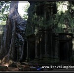 Photo: Ta Prohm, Angkor Temple in Which the Trees and Stones Became One