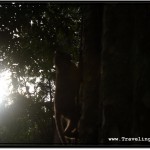 Angkor Temples on the Grand Circuit