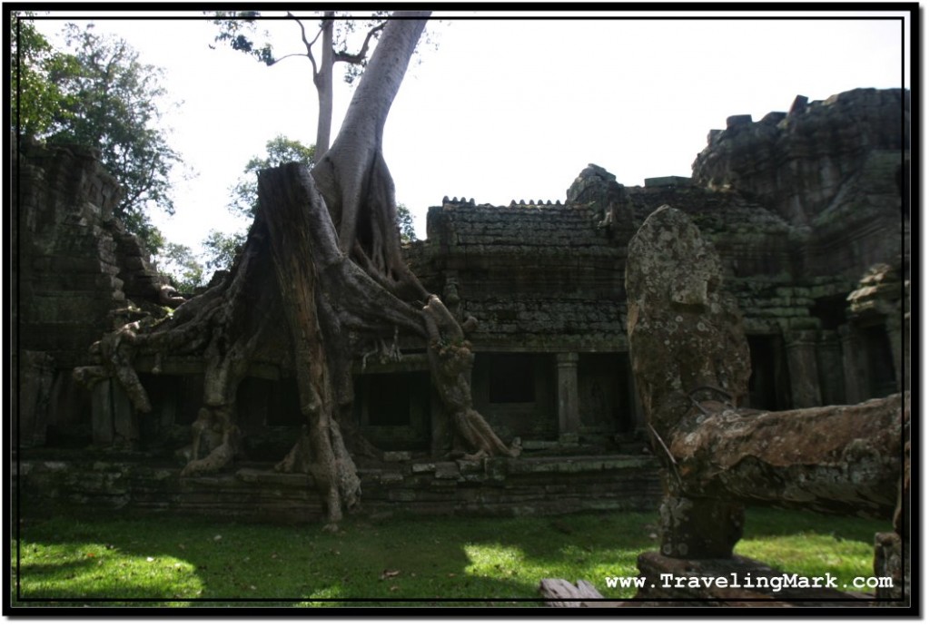 Photo: Two Trees Grew Over This Section of Preah Khan, One Had to Be Cut Down to Avoid Further Collapse