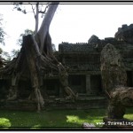 Photo: Two Trees Grew Over This Section of Preah Khan, One Had to Be Cut Down to Avoid Further Collapse