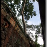 Photo: Sight So Typical of Angkor, Cambodia - Trees and Ancient Walls Intertwined
