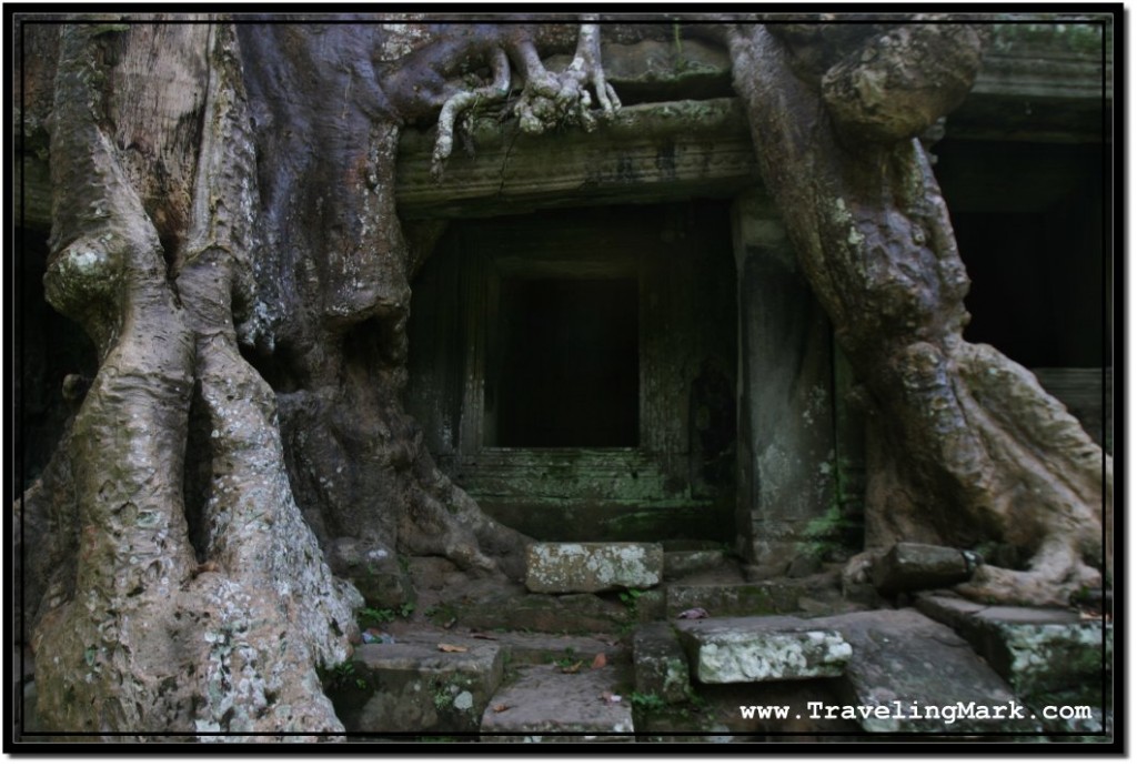 Photo: Tree Roots as Pillars Crushing Down the Stone Window of Preah Khan, Angkor