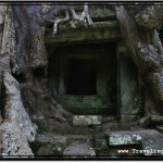 Photo: Tree Roots as Pillars Crushing Down the Stone Window of Preah Khan, Angkor