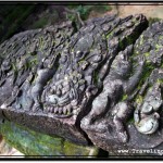 Photo: Large Carved Rock Lying Loosely at Ta Som Temple