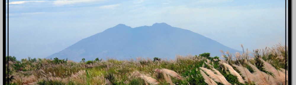 Photo: In Order to See the Volcano, One Must Rise Above the Grass