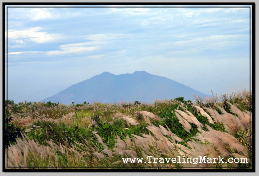 Photo: In Order to See the Volcano, One Must Rise Above the Grass