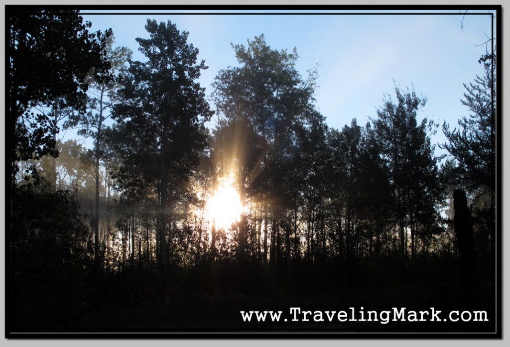 Photo: I Had My First Hermit Experience in Summer, Yet Morning Temperatures Were Below Zero