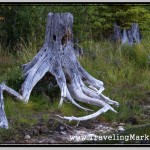 Photo: As You Grow Spiritually, You Develop Closeness with Nature