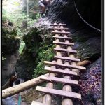 Wooden Ladders in Canyons at Slovak Paradise (Slovensky Raj)