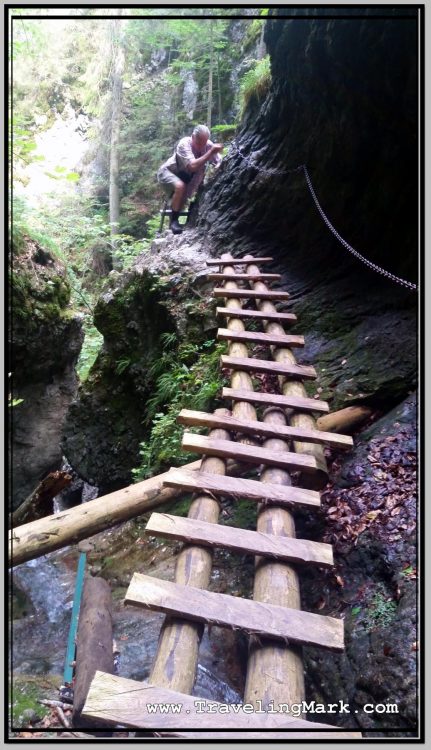 Wooden Ladders in Canyons at Slovak Paradise (Slovensky Raj)