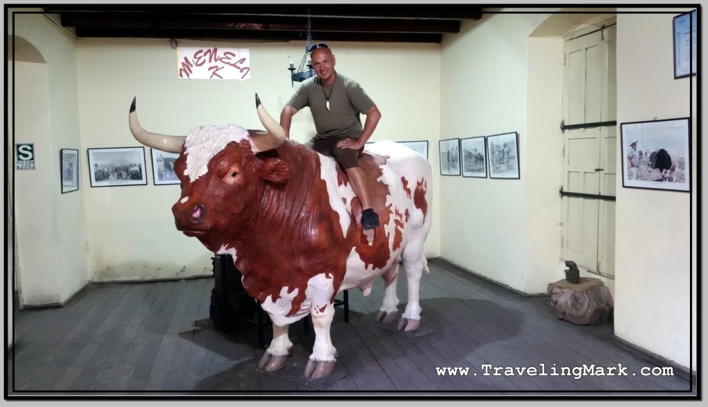 Photo: Lifesize Replica of Giant Bull Menelik