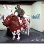 Photo: Lifesize Replica of Giant Bull Menelik