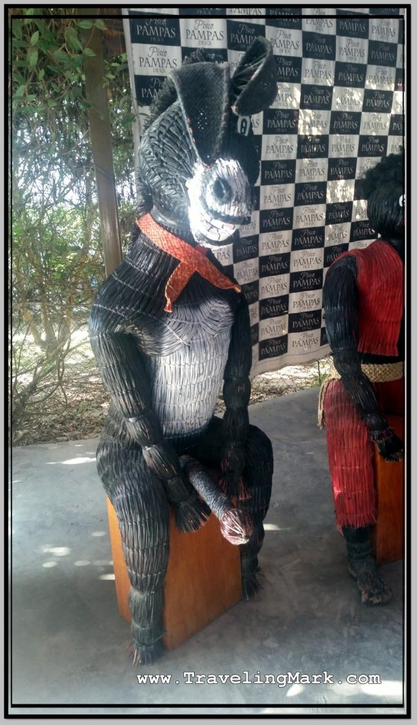 Photo: Donkey with Erect Penis Greets Visitors to Bodega Pampas in Ica, Peru