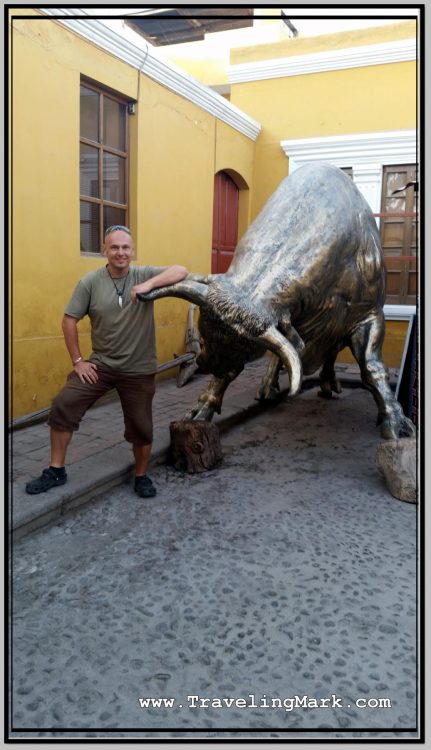 Photo: You Can Safely Mess with Thus Bull to Get the Horn