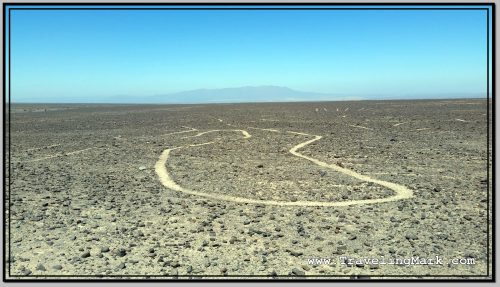 Photo: Section of Nazca Geoglyph Tree from Ground Level