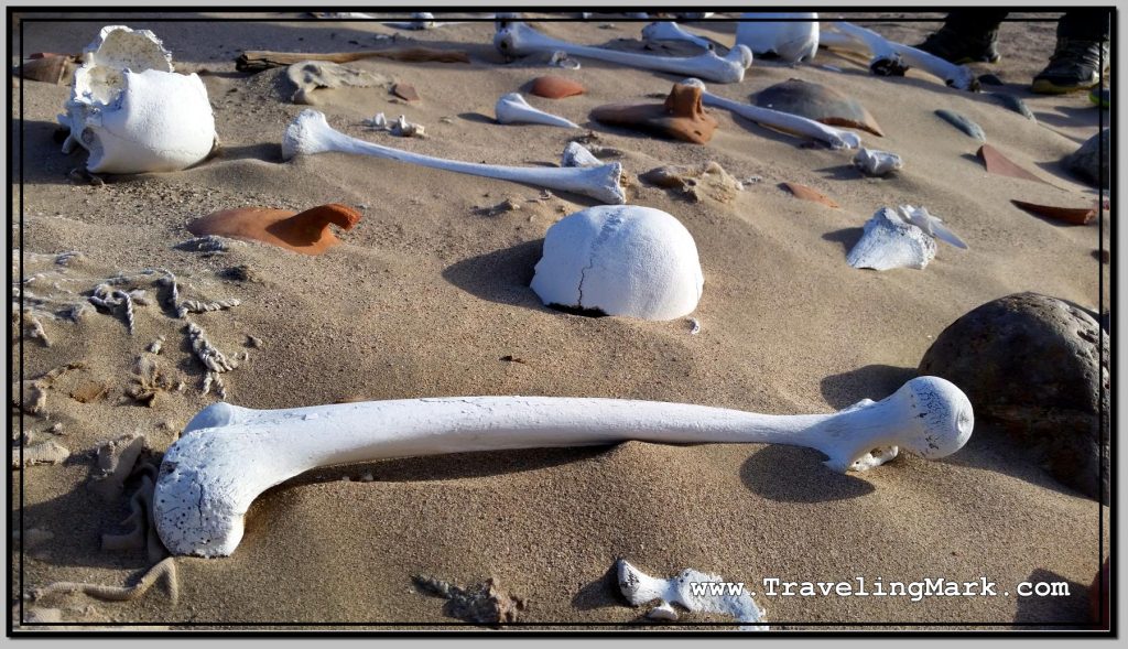 Photo: Large Sandy Area Used as Graveyard Is Littered with Bones and Skull Fragments