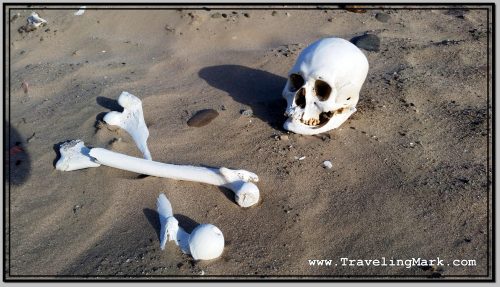 Photo: Skull and Bones at Nazca Desert Cemetery