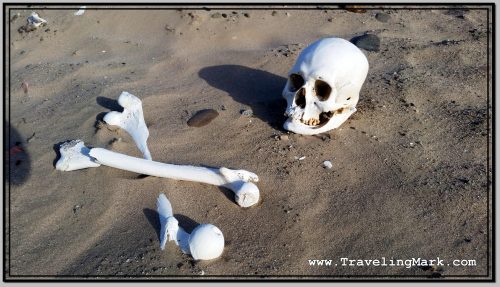 Photo: Skull and Bones at Nazca Desert Cemetery Photo: Skull and Bones at Nazca Desert Cemetery