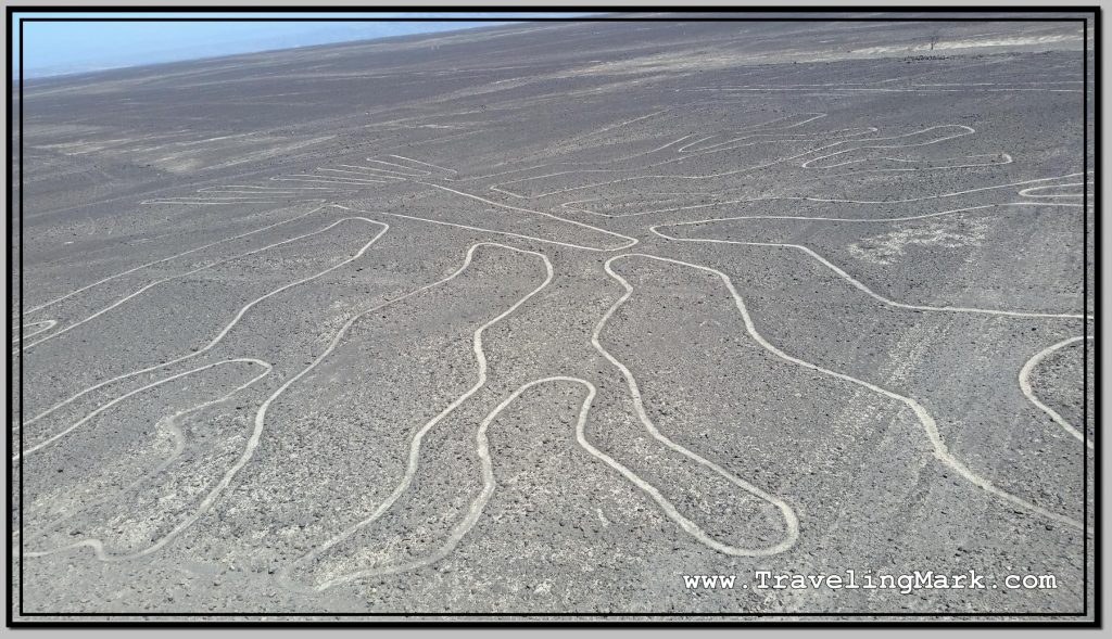 Photo: View of Nazca Tree from Mirador