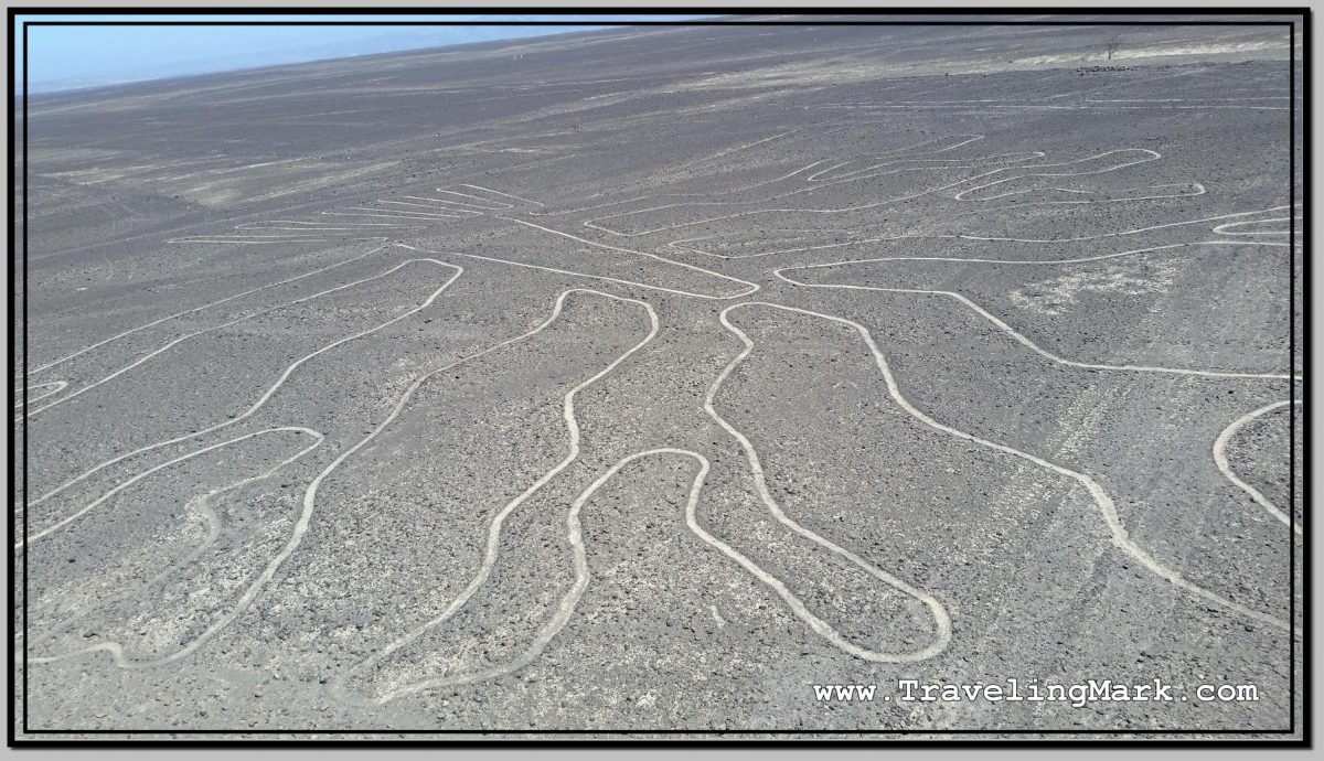Nazca Geoglyphs of Hands and Tree from Observation Tower