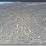 Nazca Geoglyphs of Hands and Tree from Observation Tower