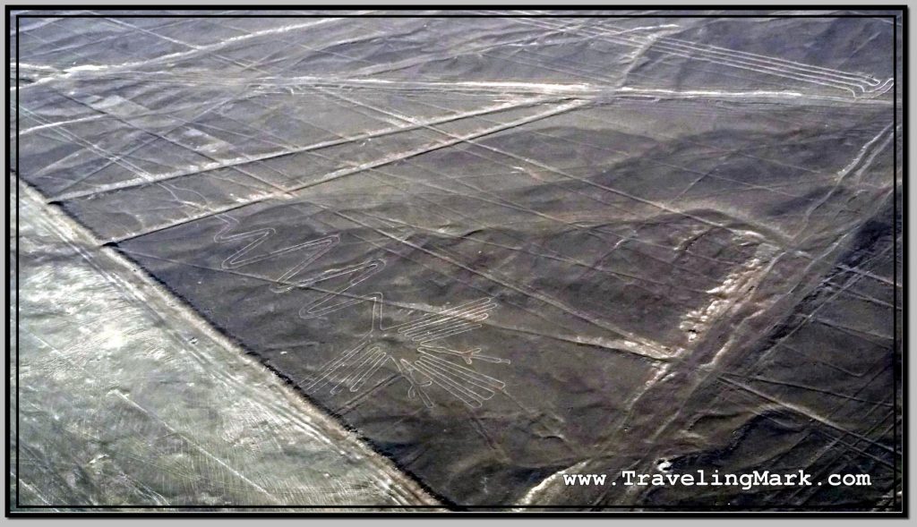 Photo: Nazca Image Alcatraz Is Among the Longest