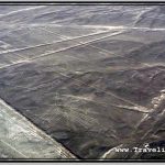 Photo: Nazca Image Alcatraz Is Among the Longest