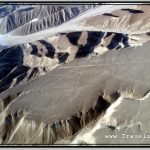 Photo: Nazca Lines Image of Hummingbird (Colibri) Is on Elevated Rock