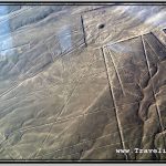 Photo: Nazca Lines Image of Condor with Nearby Rectangle