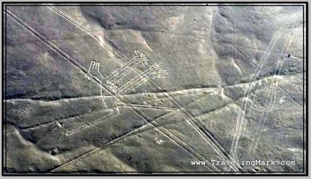 Photo: Nazca Lines Image of Dog (Perro)