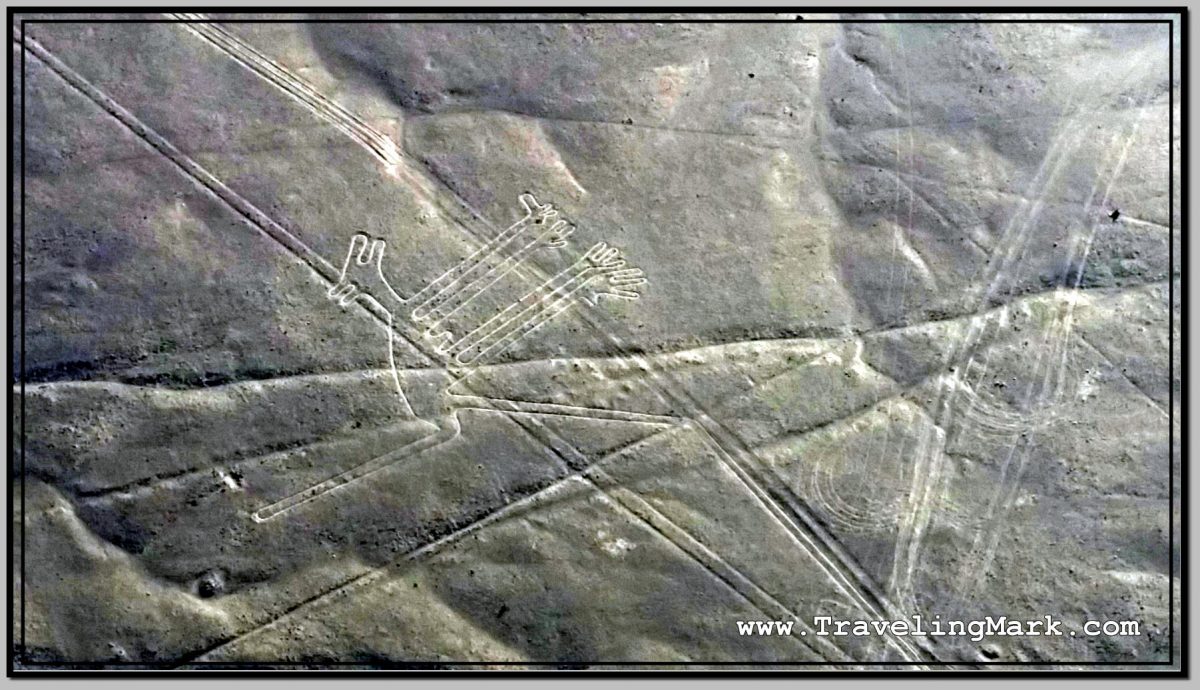 Photo: Nazca Lines Image of Dog (Perro) – Traveling Mark