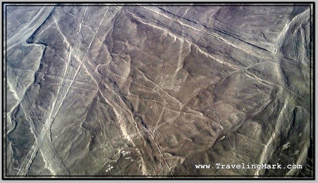 Photo: Dog (Perro) Is the Smallest Nazca Geoglyph We Have Flown Over with Aero Paracas