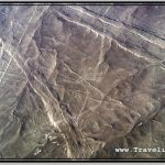 Photo: Dog (Perro) Is the Smallest Nazca Geoglyph We Have Flown Over with Aero Paracas