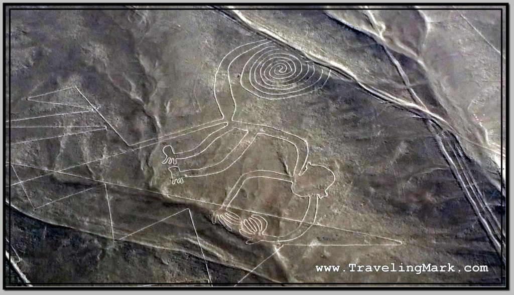 Photo: Nazca Lines Image of Monkey (Mono)