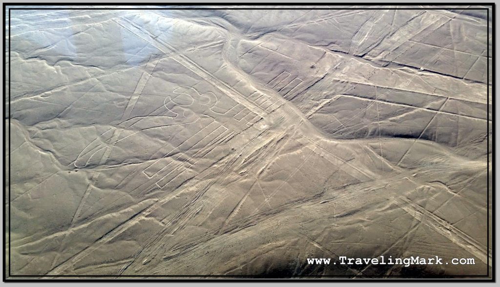 Photo: Nazca Lines Image of Parrot (Papagayo)