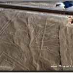 Photo: Nazca Image Tree (Arbol) Is Next to Hands and Pan American Highway